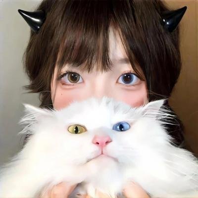 新东京猫猫